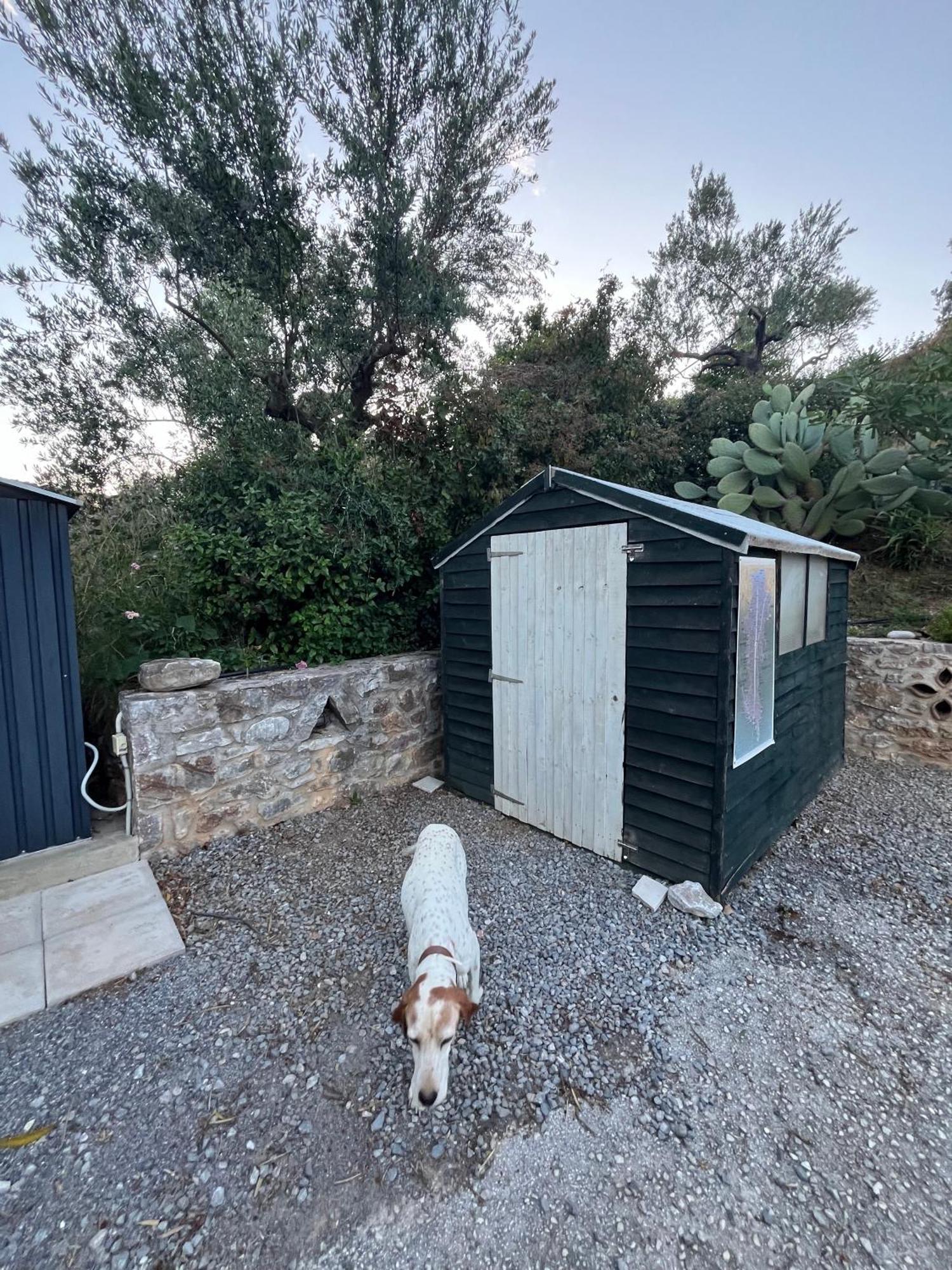 Nefeli Studios Vathí Exteriör bild