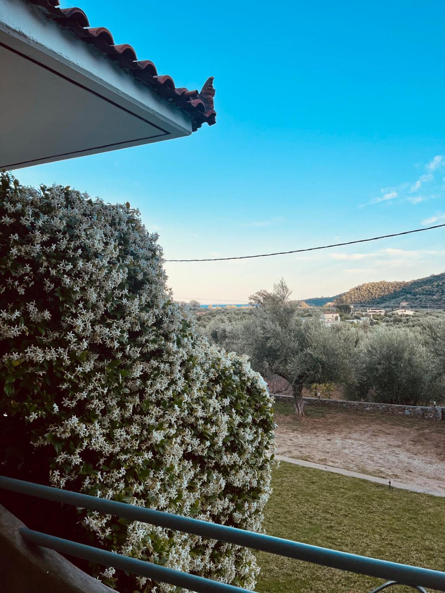 Nefeli Studios Vathí Exteriör bild